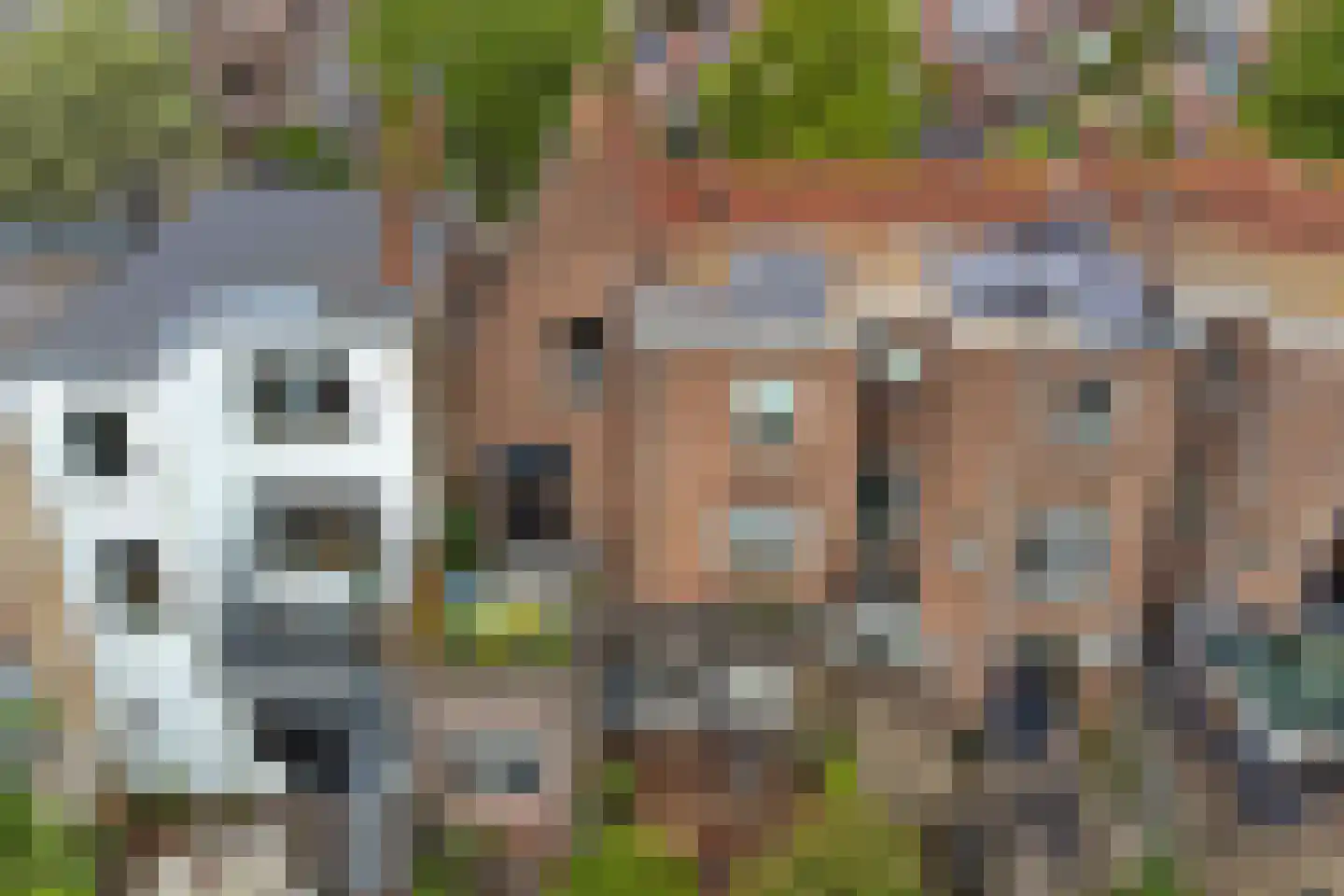 Celebesstraat 58 Dordrecht thumbnail 66