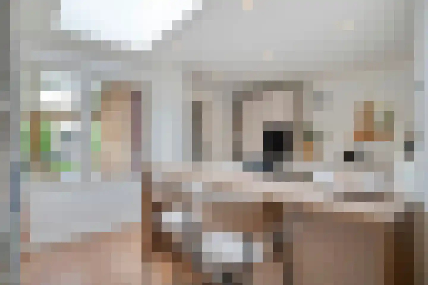 Celebesstraat 6 Tilburg thumbnail 19