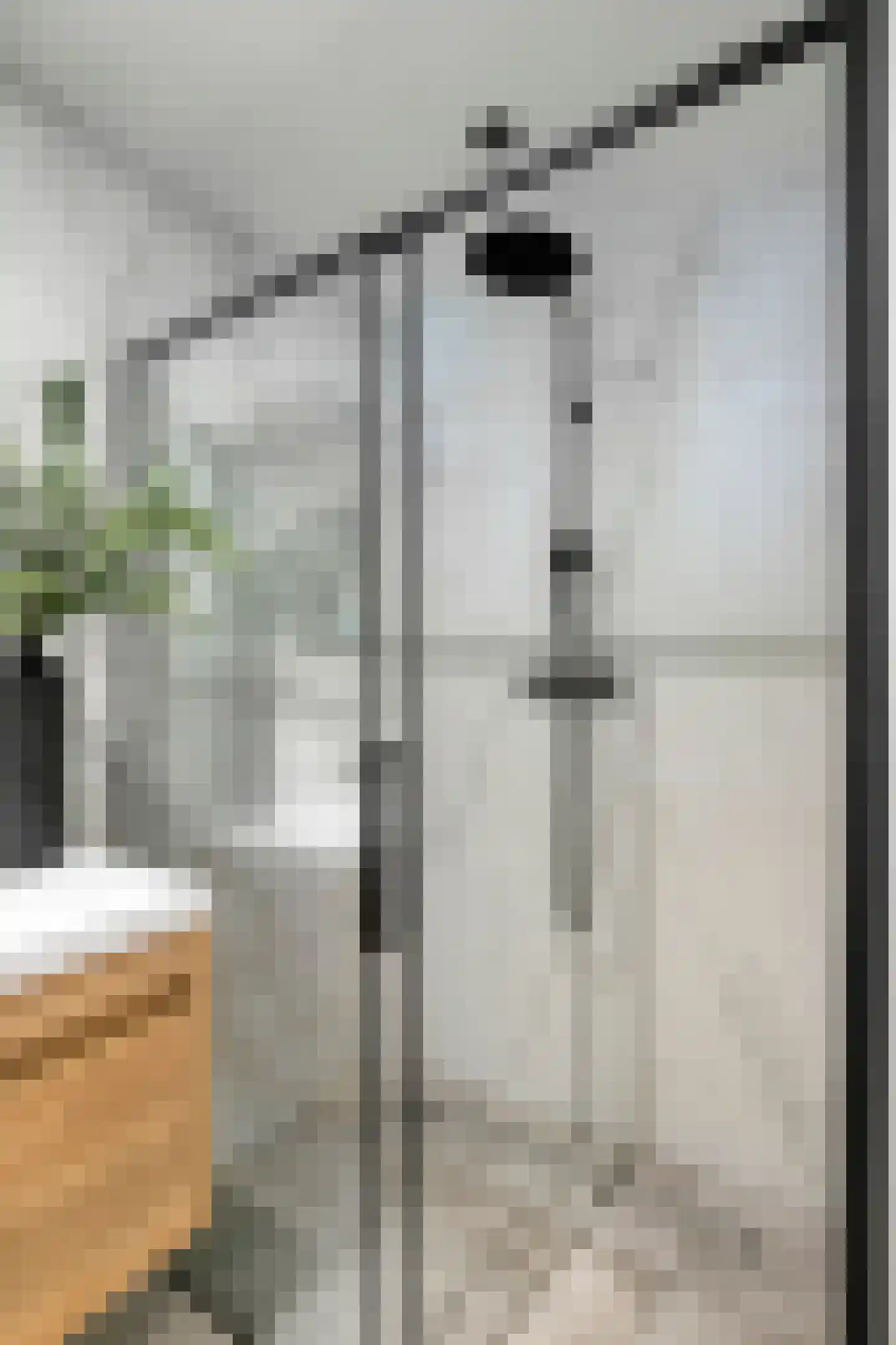 Celebesstraat 6 Tilburg thumbnail 24