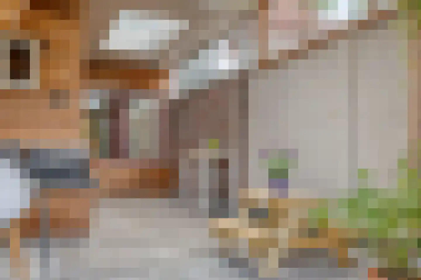 Celebesstraat 6 Tilburg thumbnail 41
