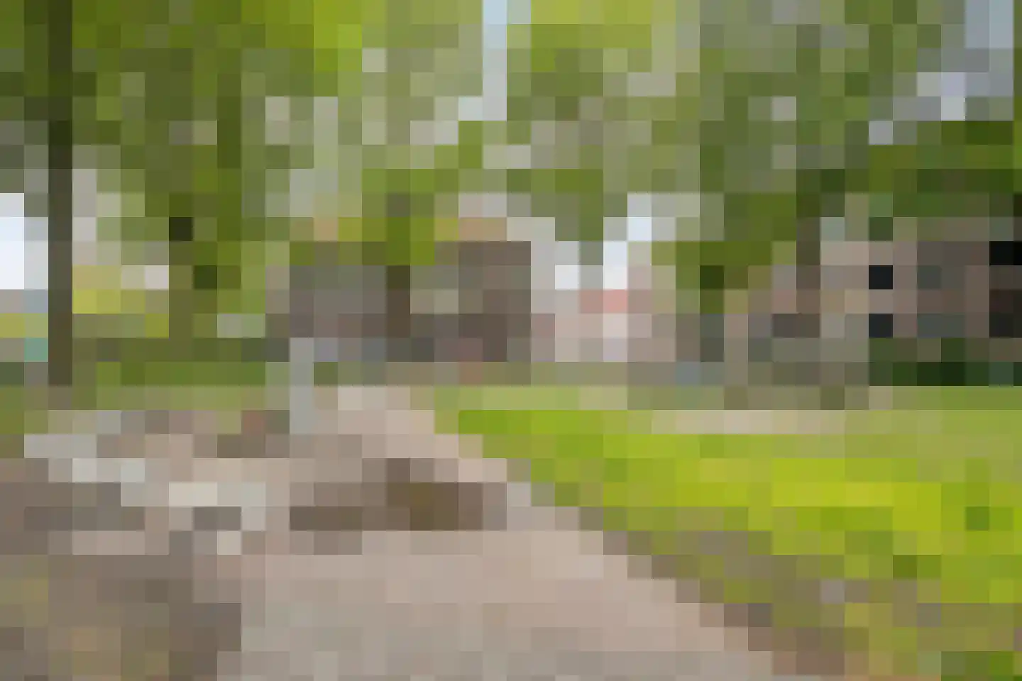 Celebesstraat 6 Tilburg thumbnail 47