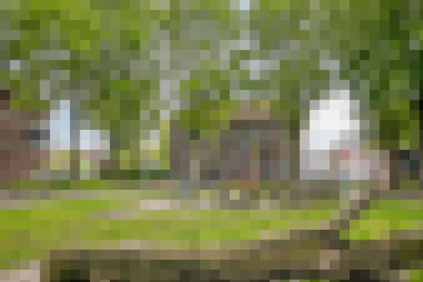 Celebesstraat 6 Tilburg thumbnail 48