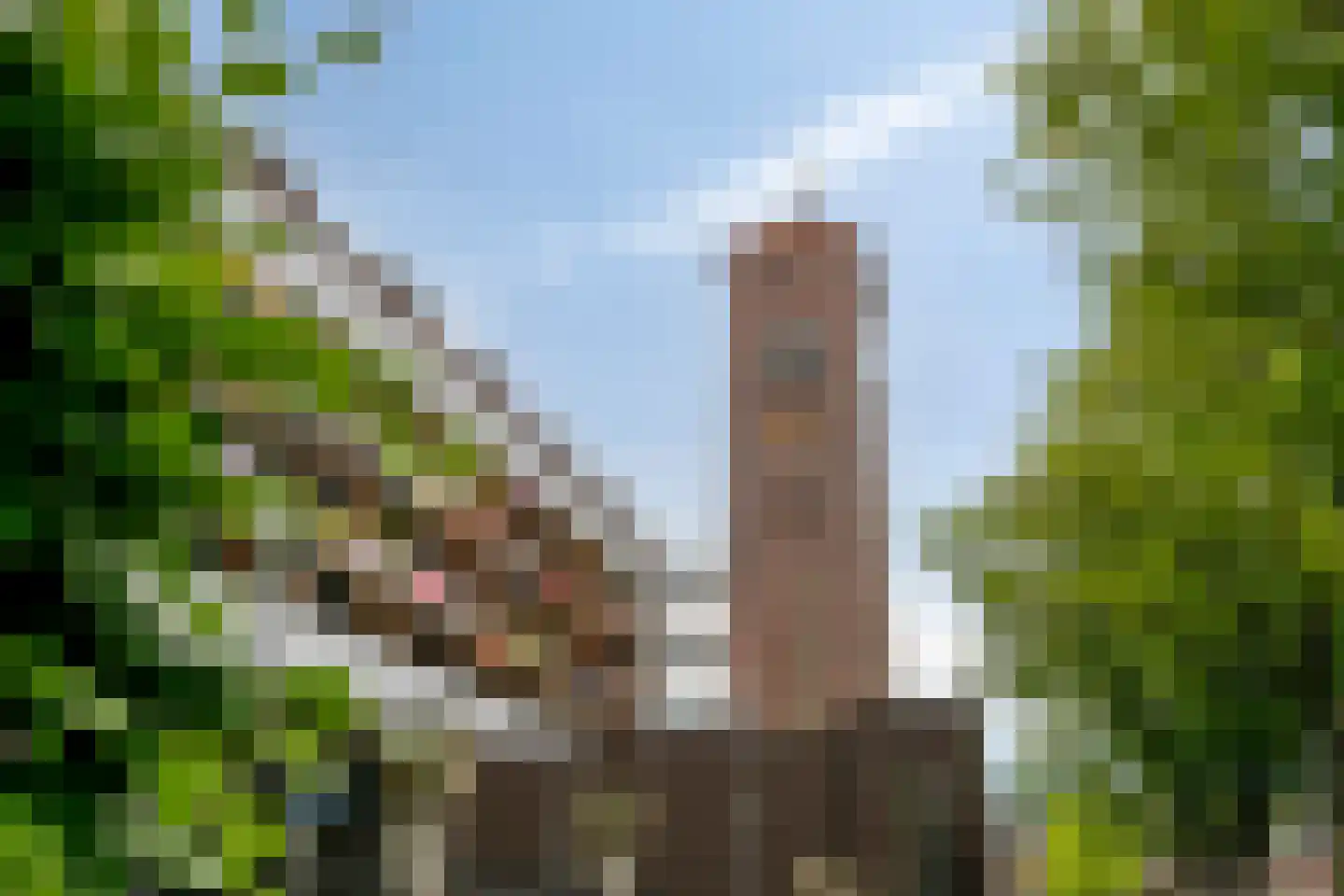 Celebesstraat 6 Tilburg thumbnail 49