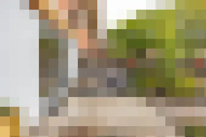 Celebesstraat 63 Groningen thumbnail 14