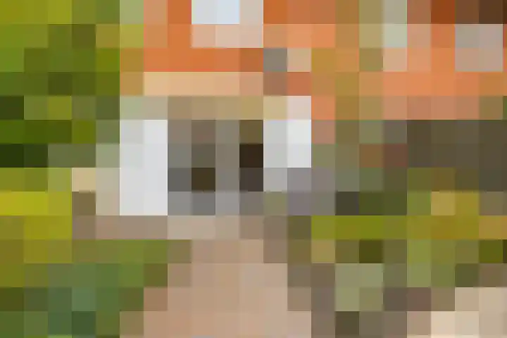 Celebesstraat 63 Groningen thumbnail 17