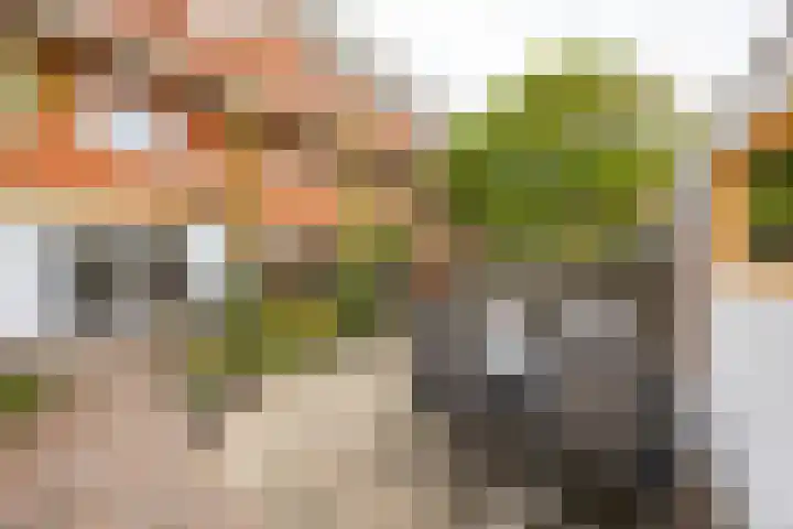 Celebesstraat 63 Groningen thumbnail 19