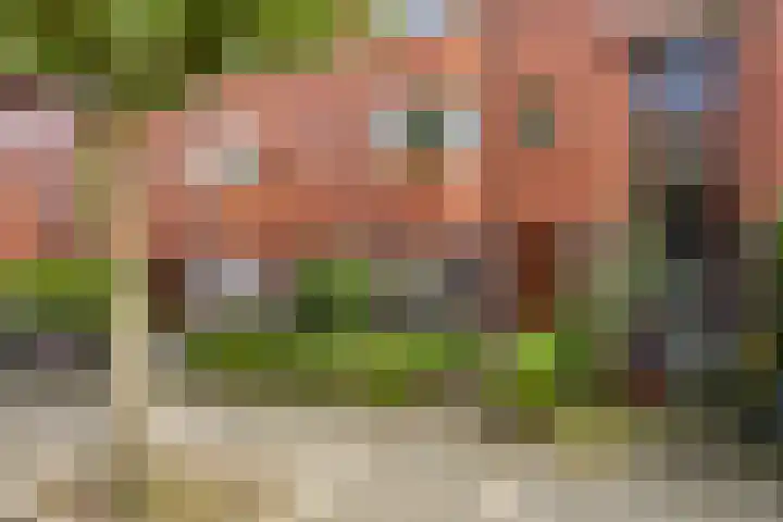 Celebesstraat 63 Groningen thumbnail 42