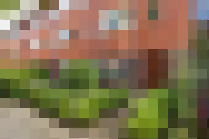 Celebesstraat 63 Groningen thumbnail 43
