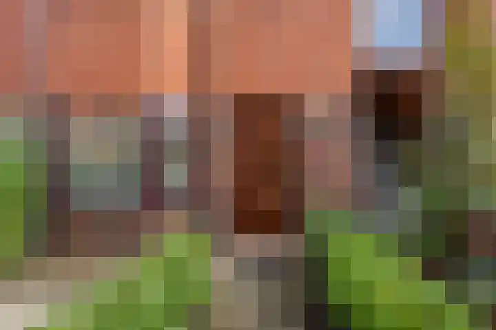 Celebesstraat 63 Groningen thumbnail 44