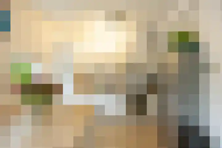 Celebesstraat 63 Groningen thumbnail 8