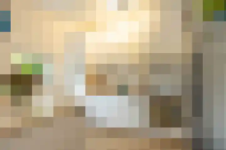 Celebesstraat 63 Groningen thumbnail 9