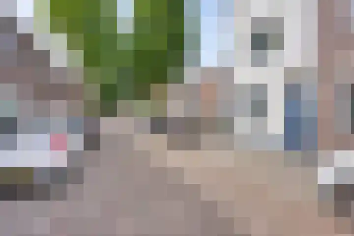 Celebesstraat 66 Tilburg thumbnail 35