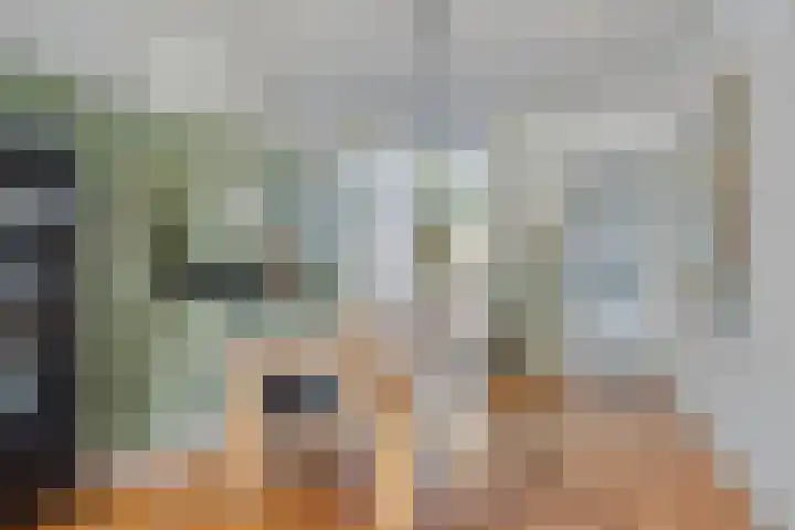 Celebesstraat 66 Tilburg thumbnail 4