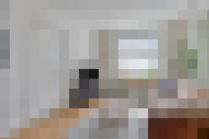 Celebesstraat 66 Tilburg thumbnail 7