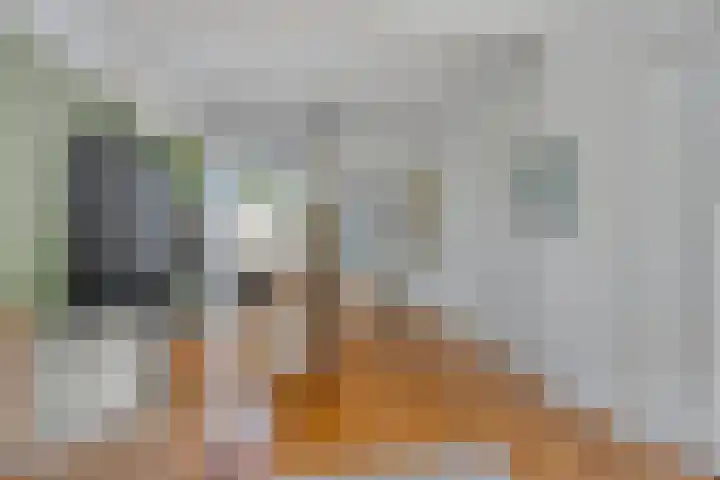 Celebesstraat 66 Tilburg thumbnail 8