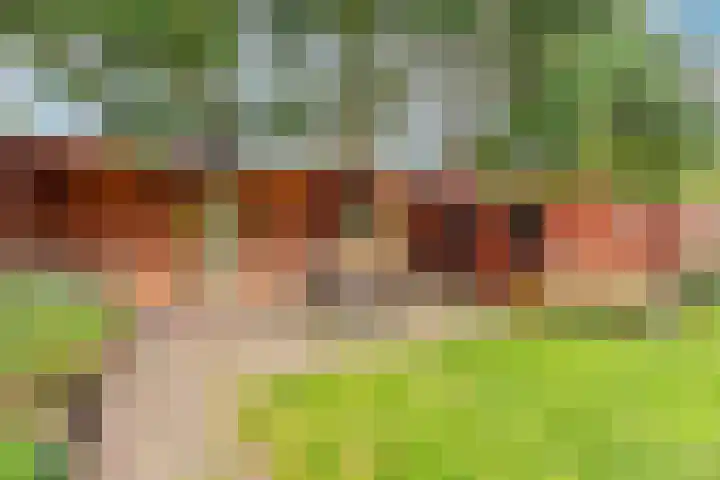Celebesstraat 7 Baarn thumbnail 12