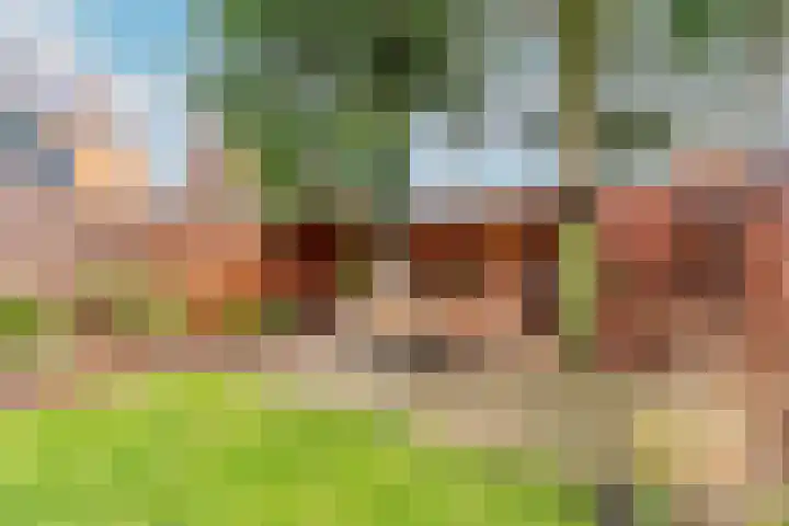 Celebesstraat 7 Baarn thumbnail 13