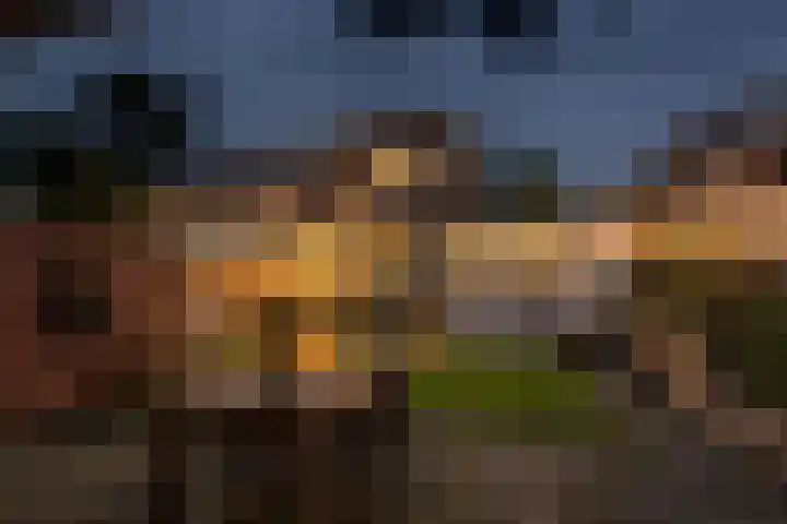 Celebesstraat 7 Baarn thumbnail 17