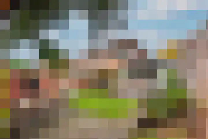 Celebesstraat 7 Baarn thumbnail 4