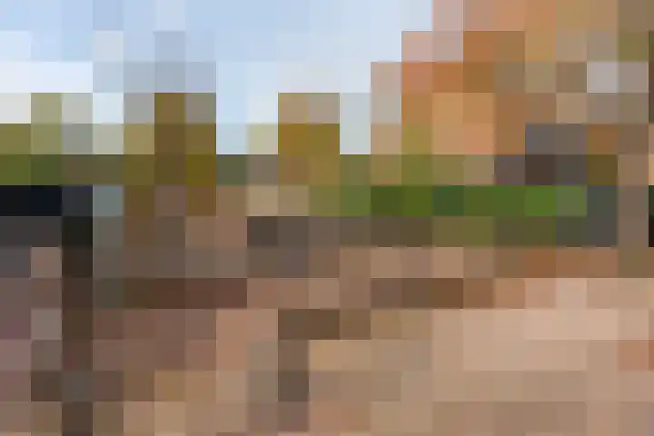 Celebesstraat 7 Baarn thumbnail 43