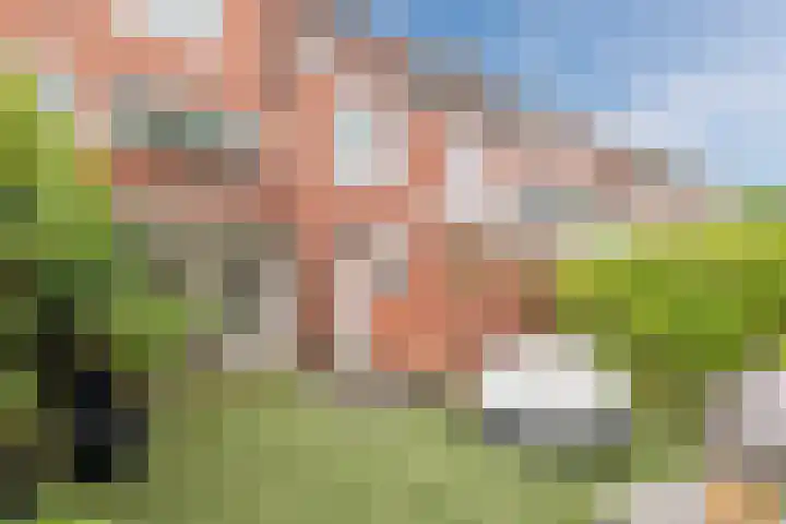 Celebesstraat 7 Groningen thumbnail 23