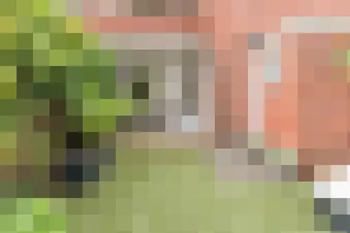 Celebesstraat 7 Groningen thumbnail 24