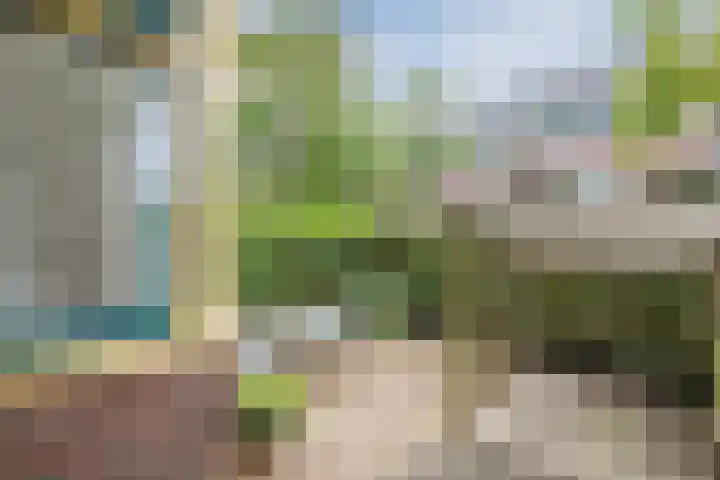 Celebesstraat 7 Groningen thumbnail 5