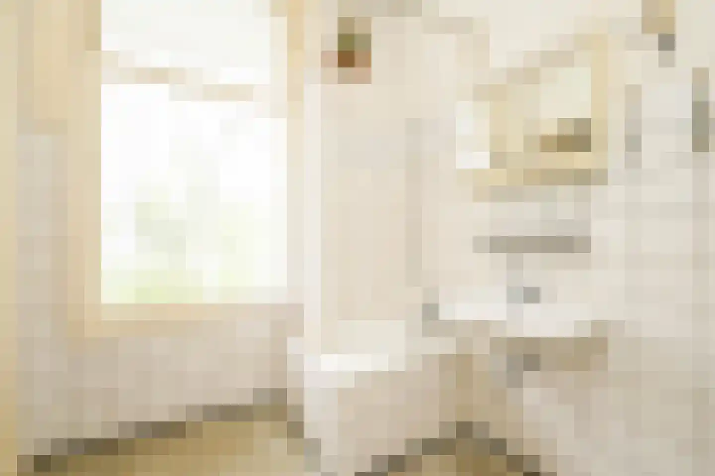 Celebesstraat 81 Den Haag thumbnail 37