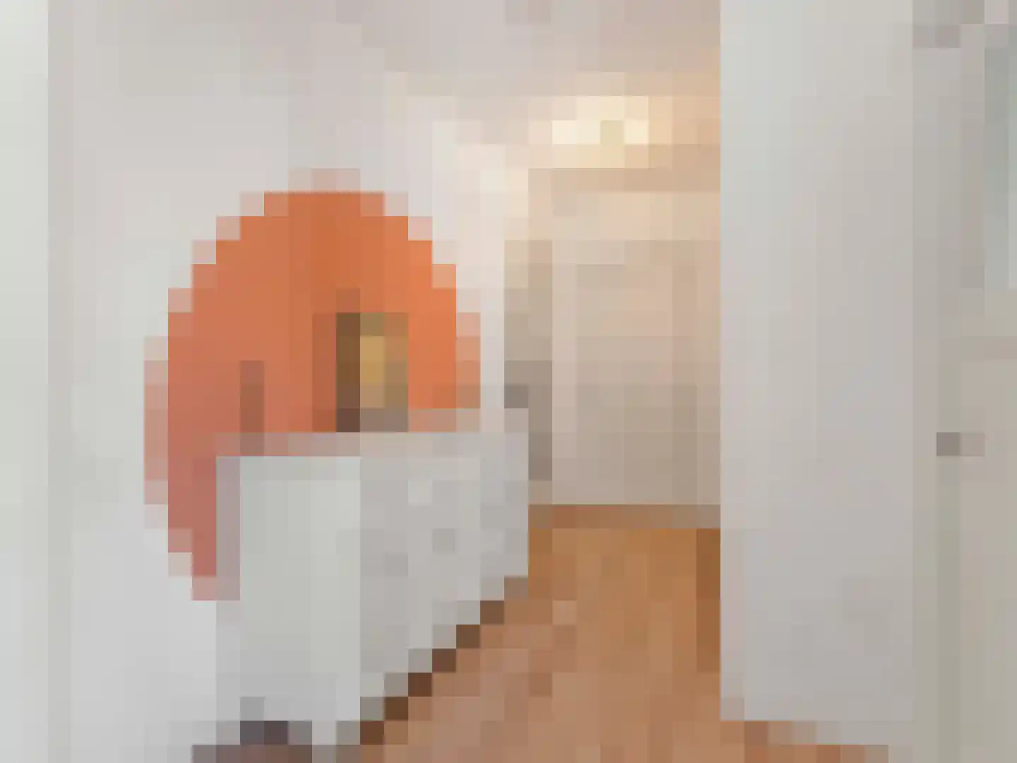 Celebesstraat 89 Utrecht thumbnail 27