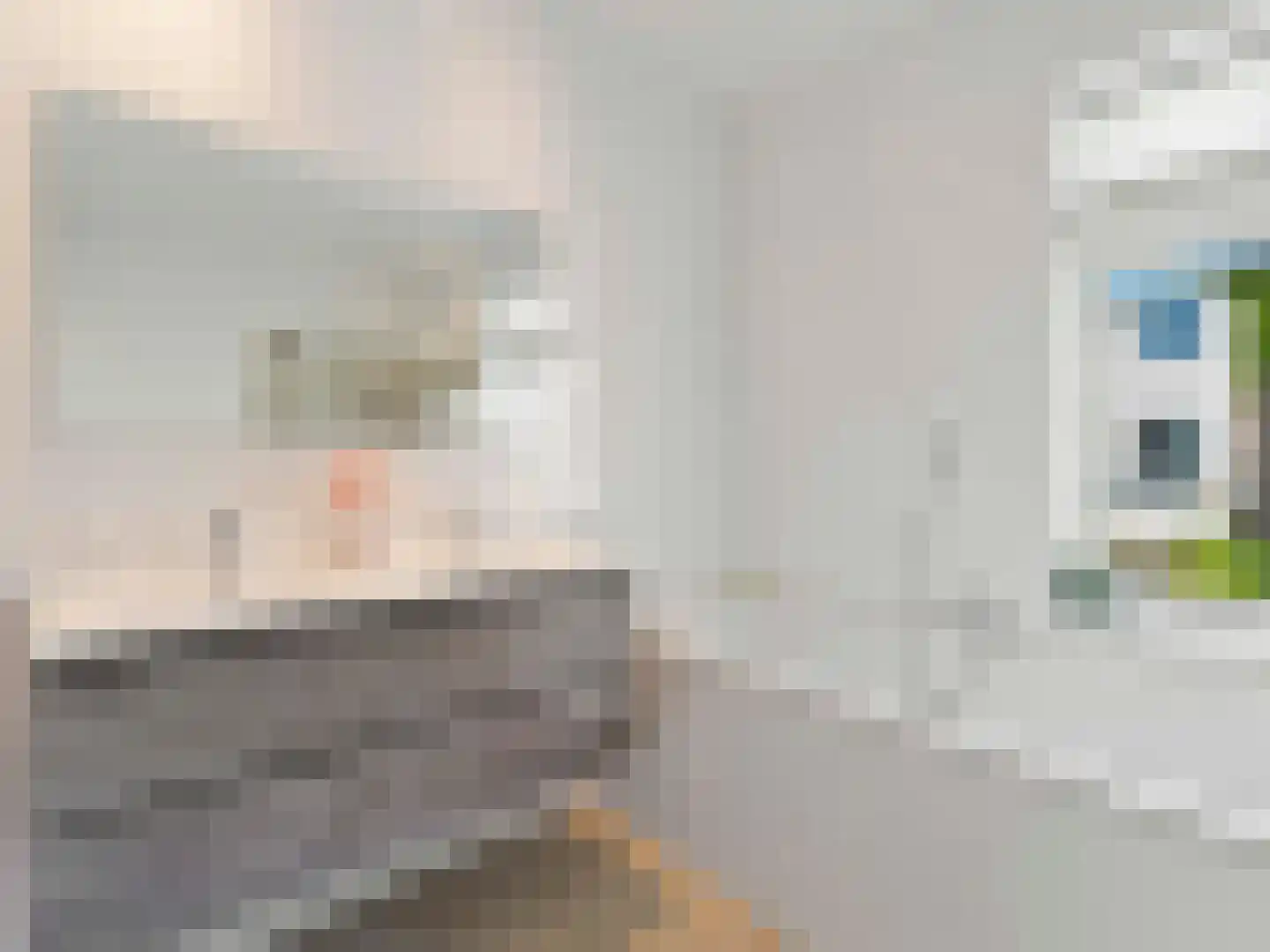 Celebesstraat 89 Utrecht thumbnail 35