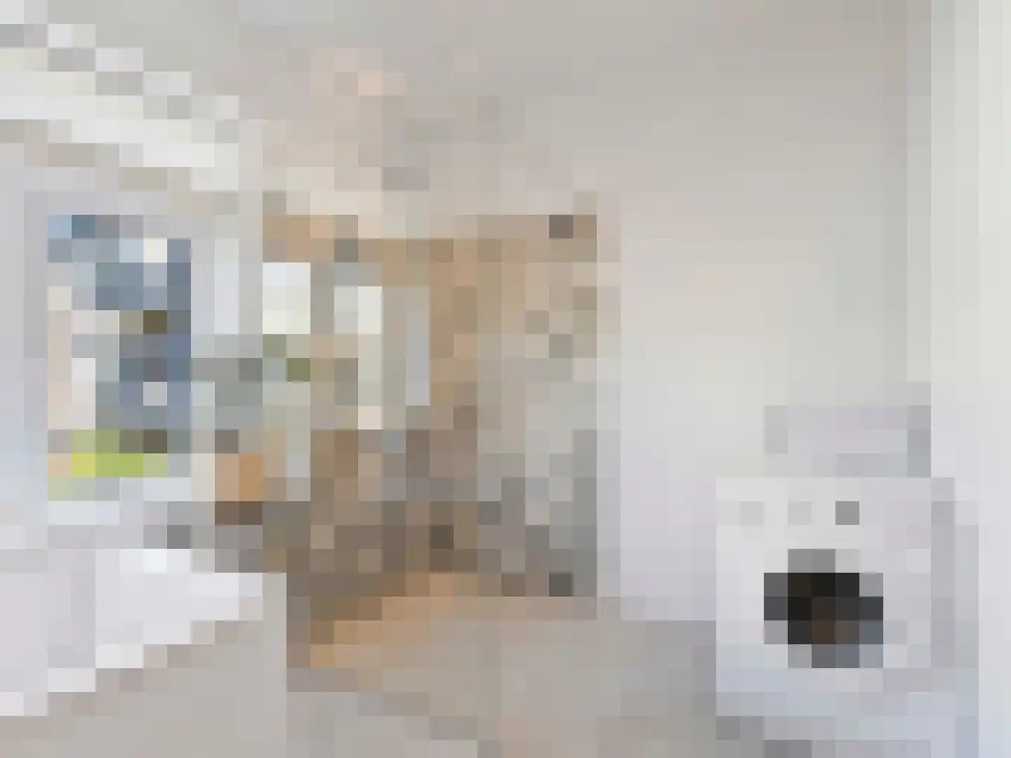 Celebesstraat 89 Utrecht thumbnail 36