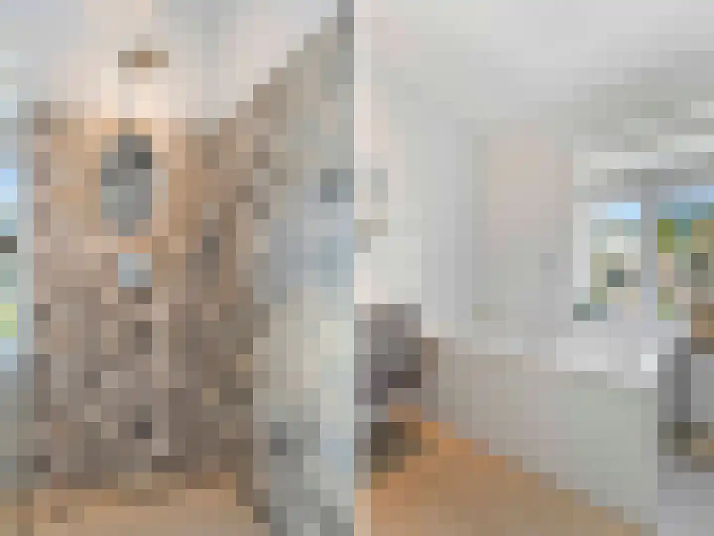 Celebesstraat 89 Utrecht thumbnail 37
