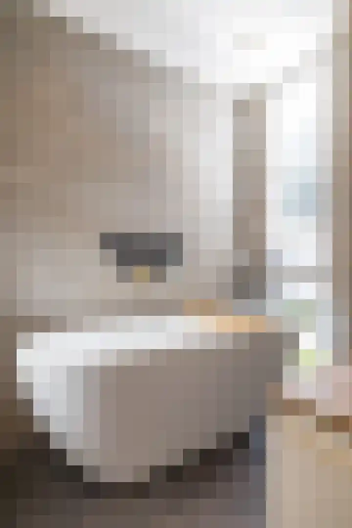 Celebesstraat 9 Groningen thumbnail 37