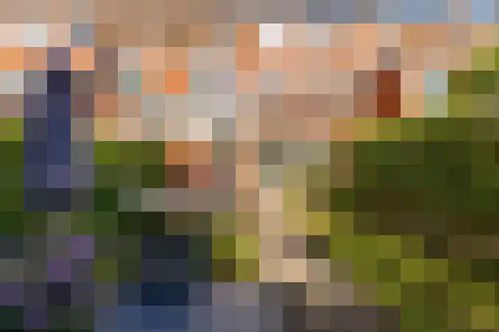 Celebesstraat 9 Groningen thumbnail 45