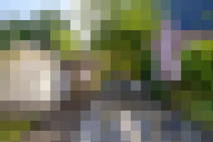 Celebesstraat 9 Groningen thumbnail 46
