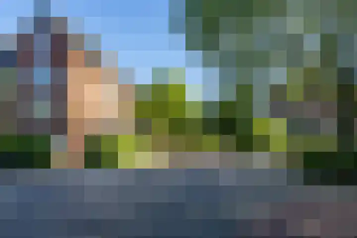 Celebesstraat 9 Groningen thumbnail 53