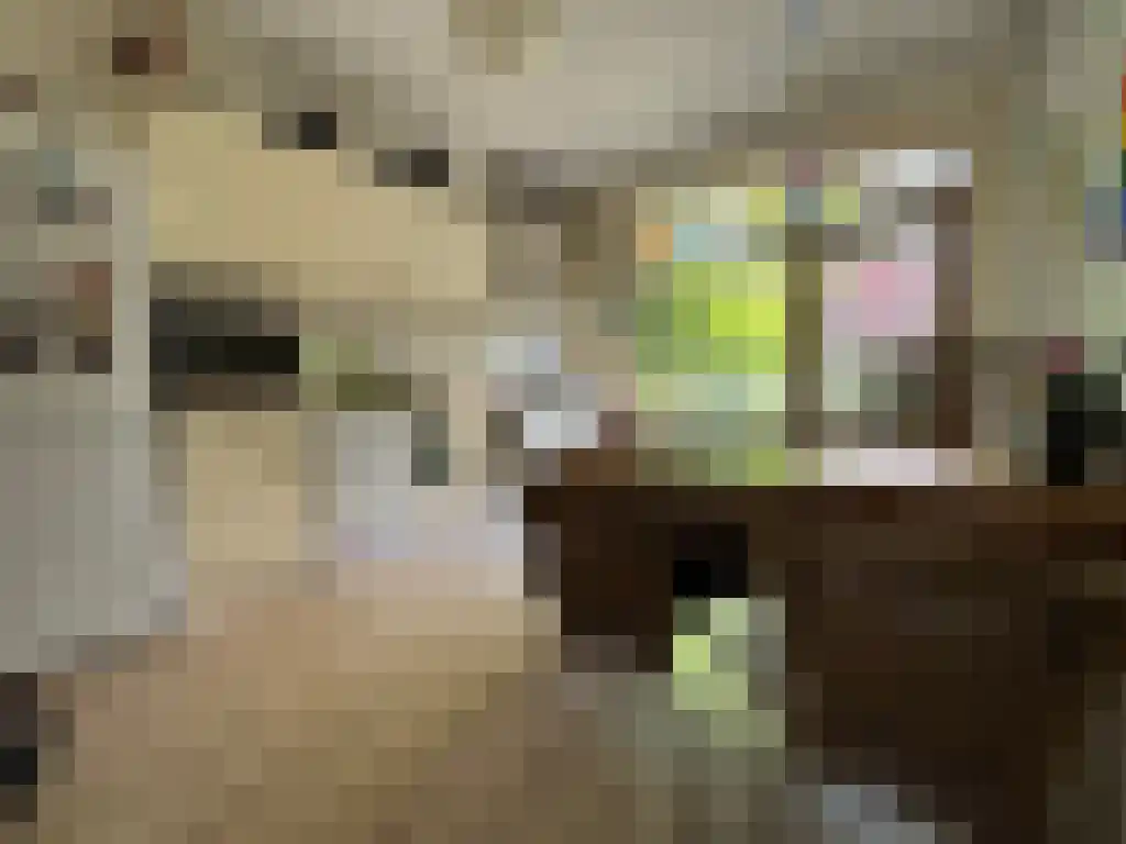 Celebesstraat Groningen thumbnail 5