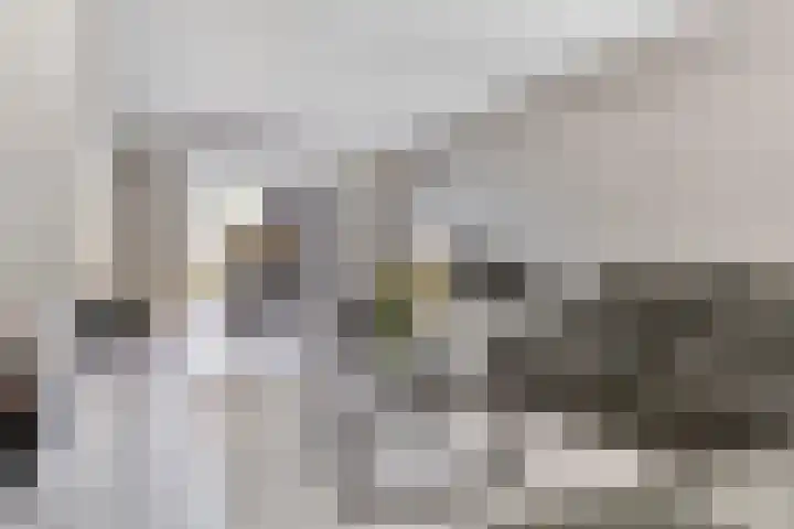 Celenhoek 4 Helmond thumbnail 11
