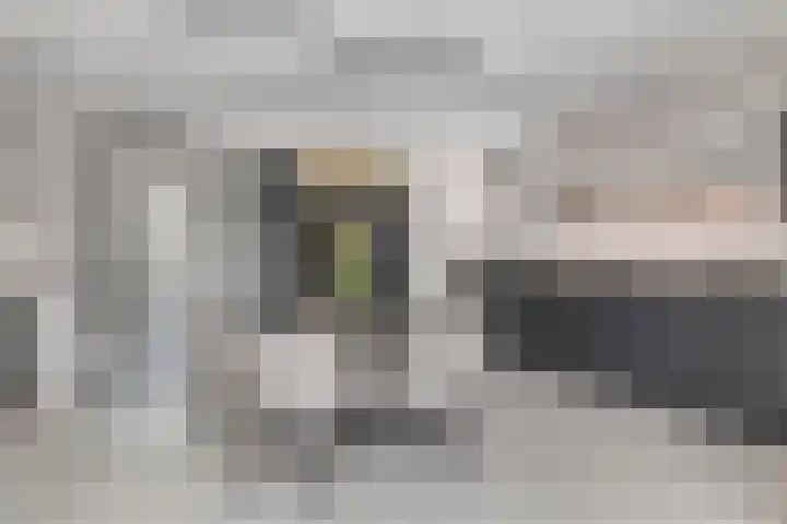 Celenhoek 4 Helmond thumbnail 17