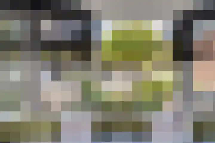 Celenhoek 4 Helmond thumbnail 30