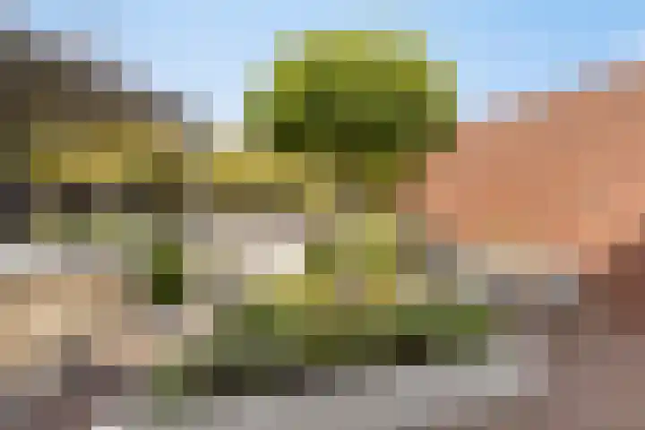 Celenhoek 4 Helmond thumbnail 46