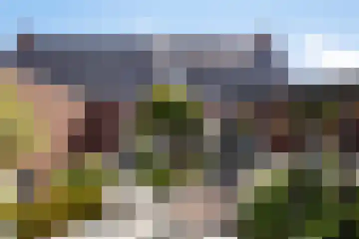 Celenhoek 4 Helmond thumbnail 48