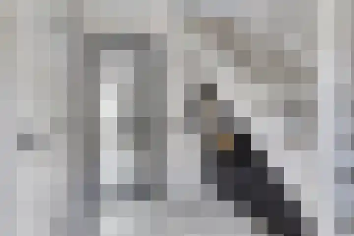Celenhoek 4 Helmond thumbnail 8