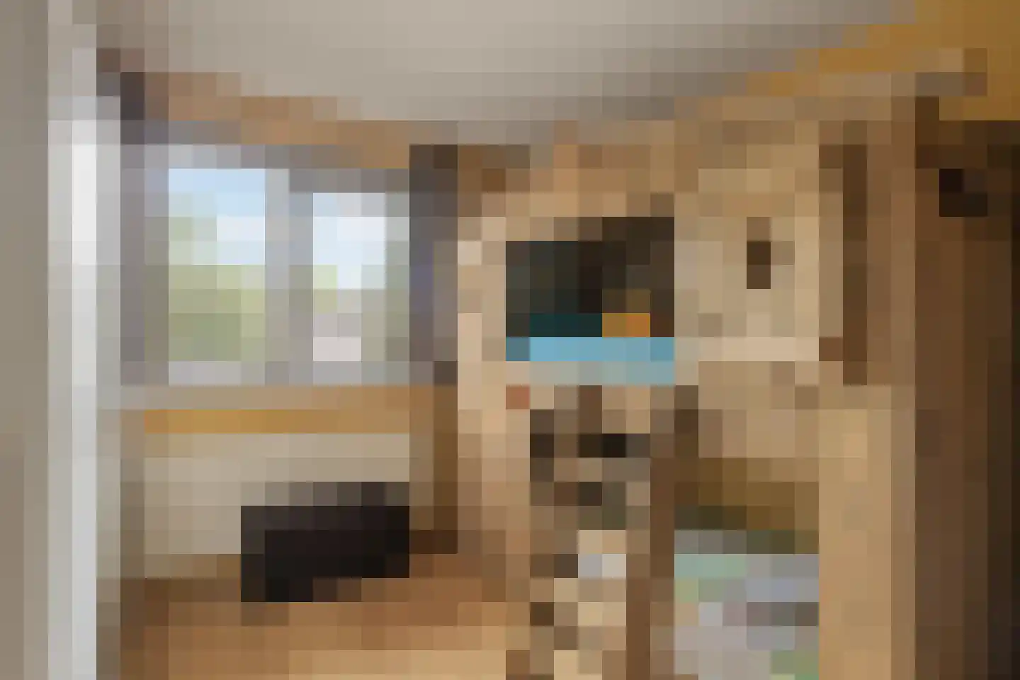 Celesta 35 Rotterdam thumbnail 20