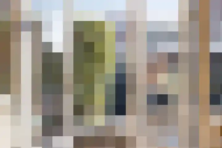 Celestraat 28 Zwolle thumbnail 10