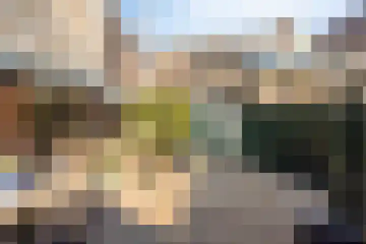Celestraat 28 Zwolle thumbnail 36