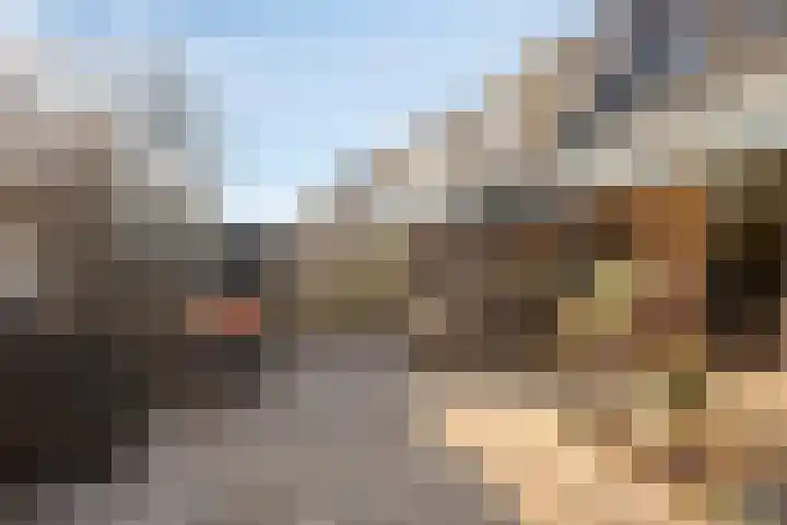 Celestraat 28 Zwolle thumbnail 38