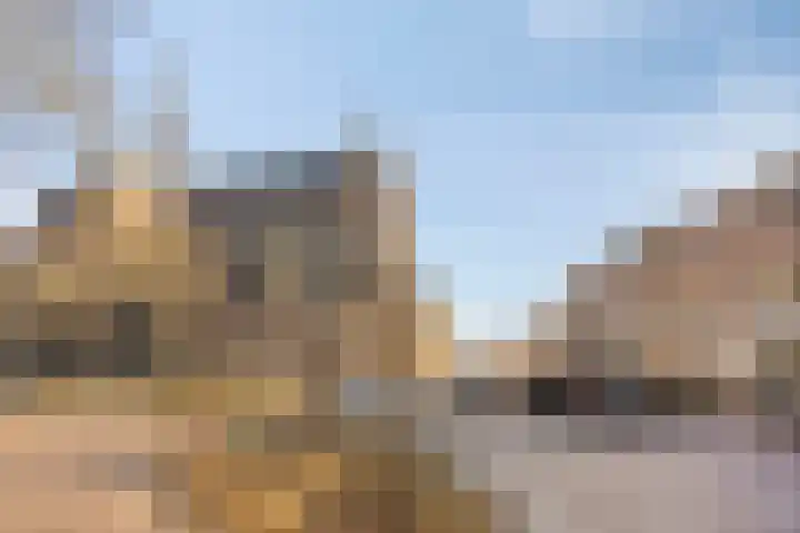 Celestraat 28 Zwolle thumbnail 43