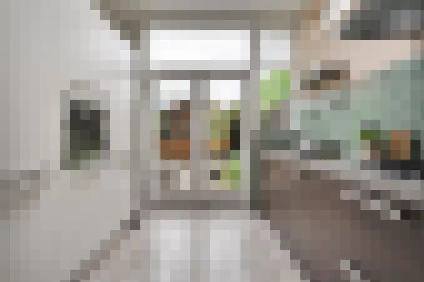Celestraat 4 Zwolle thumbnail 13