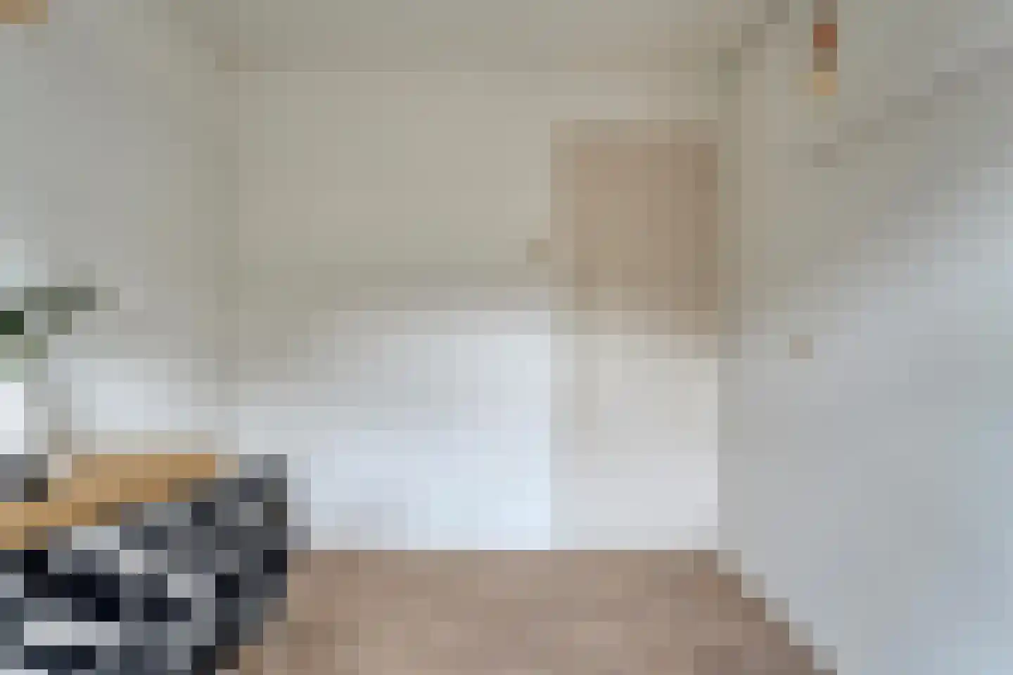 Celestraat 4 Zwolle thumbnail 25